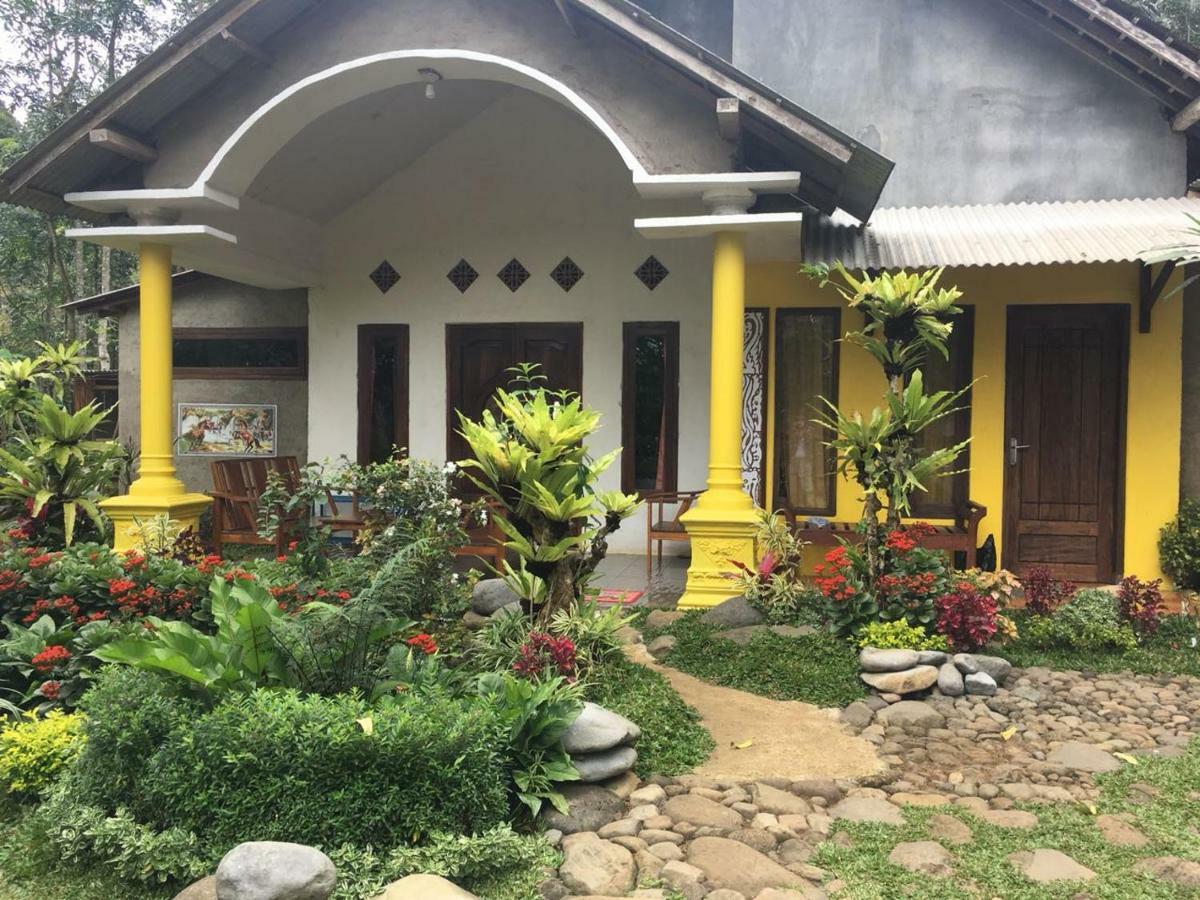 Hadi Homestay Banyuwangi  Exterior foto